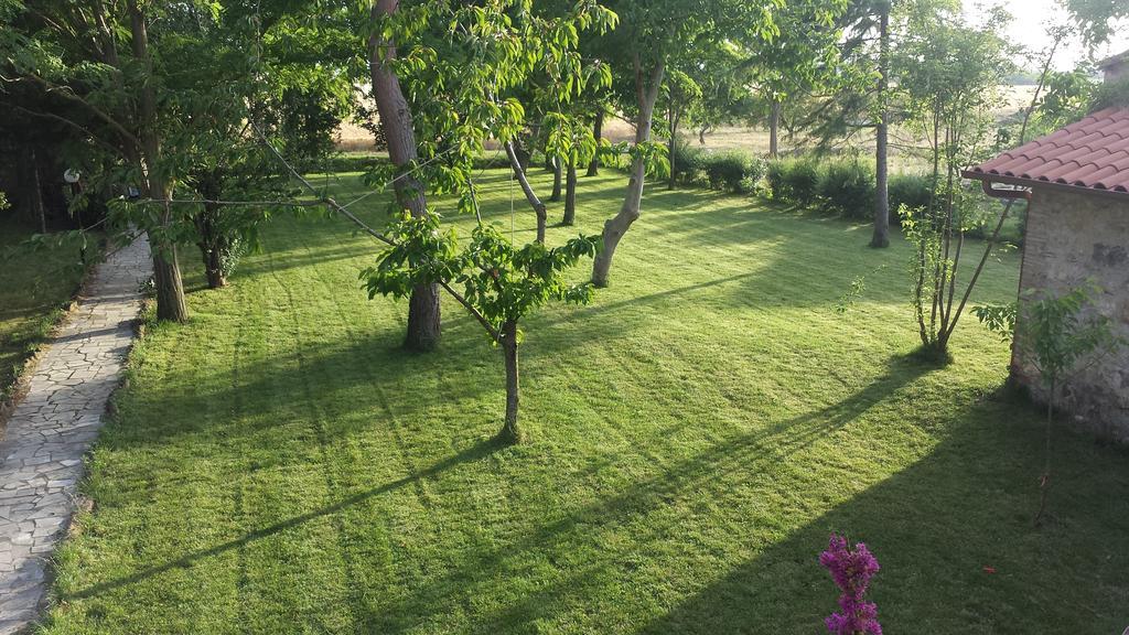 Agriturismo Casal Taccone Apartment Tarquinia Cameră foto